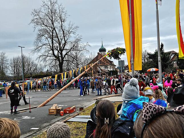Bild 6: Der Narrenbaum in Kluftern steht