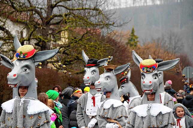 Bild 7: Bilder vom Kleggau-Narrentreffen (Teil 2)