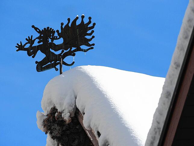 Bild 4: Das kommt so bald nicht wieder: Neue Bilder aus dem Winterwunderland rund um Überlingen und Salem