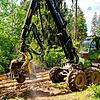 Der Holz-Harvester hinter dem Walkebuck im Einsatz. Fahrer ist Andreas Peter.