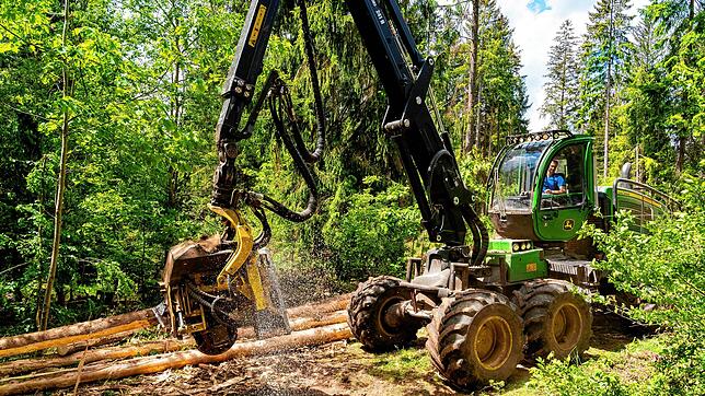 Der Holz-Harvester hinter dem Walkebuck im Einsatz. Fahrer ist Andreas Peter.