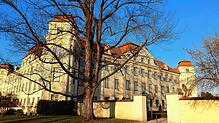 Ohne Strafe, aber auf Bewährung hat eine 19-Jährige am Mittwoch das Amtsgericht Tettnang verlassen. Sie hatte Waren im Internet ...