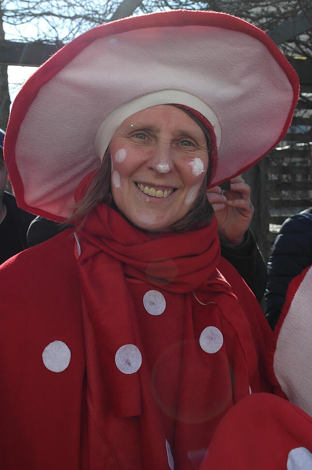 Bild 1: Gesichter der Fasnet: So kreativ zeigen sich die Besucher am Häfler Samstag
