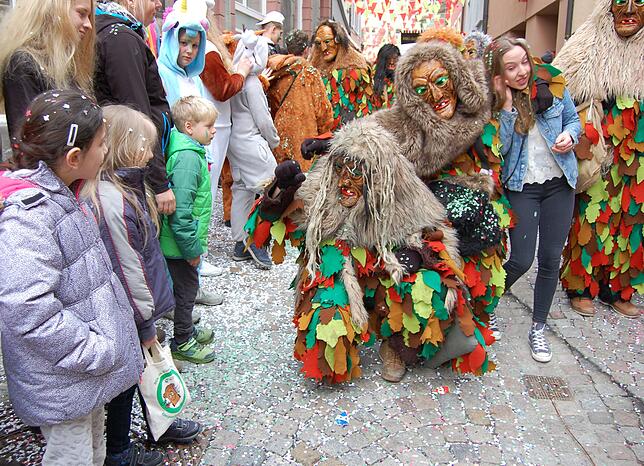Bild 5: Bilder vom Fasnachtsumzug in Laufenburg (2)