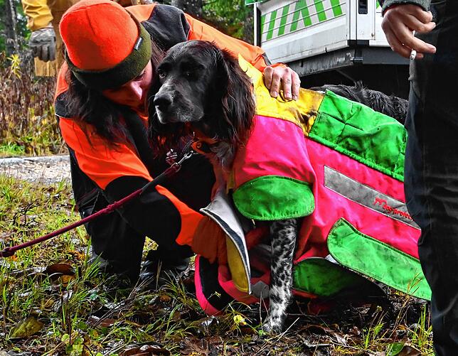 Auch die Hunde bekommen Jagdkleidung. Die grellen Farben lassen sie im auffallen. Außerdem muss eine Telefonnummer des Hundehalter ...
