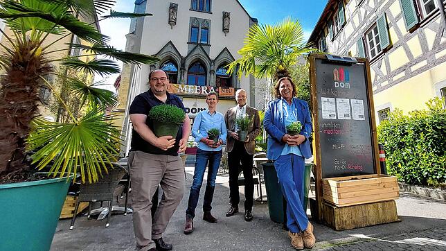 Palmen, Kräuter und Sonnenschein: Das Dom in der Brückengasse 1 möchte unter den neuen Besitzern eine mediterrane Küche anbieten und ...