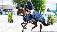 Bild : Reitsport pur beim Fest der Pferde am Freitag