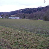Auf dieser knapp vier Hektar großen Fläche, vom Bach an der Baumreihe rechts bis zu den Gebäuden im Hintergrund, soll das Gewerbegebiet ...