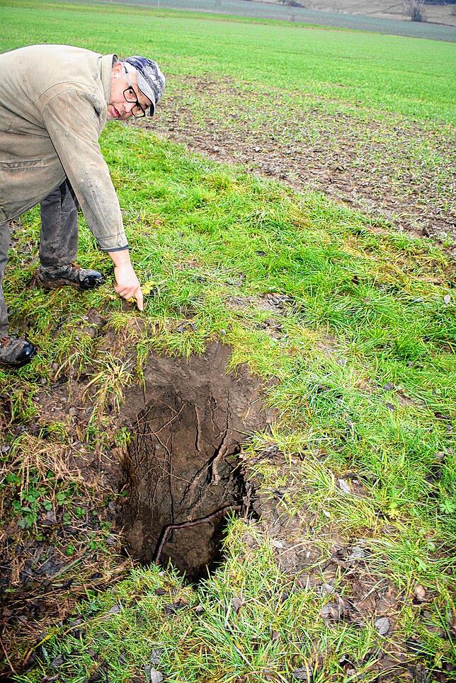 Der Neufracher Landwirt Hubert Einholz deutet auf eine tückische Falle, die der Biber innerhalb einer Nacht geschaffen hat.