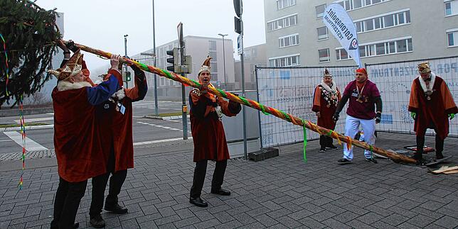 Mit vereinten Kräften wird der Narrenbaum in Petershausen aufgestellt.