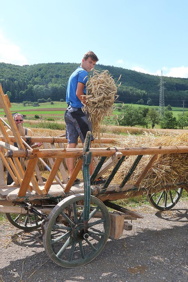 Die Garben werden auf den historischen Leiterwagen geladen. Nico Kreuzer legt hier kräftig Hand an.