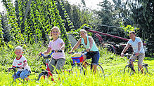 Beeindruckend für die kleinen und großen Radfahrer sind in der Gegend um Tettnang die bis zu acht Meter hoch rankenden Hopfengärten, und ...