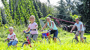 Beeindruckend für die kleinen und großen Radfahrer sind in der Gegend um Tettnang die bis zu acht Meter hoch rankenden Hopfengärten, und ...