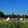 Das Naturbad Aachtal in Rielasingen-Worblingen auf einem Archivbild: Hier ereignete sich am Donnerstag, 14. Juli, ein tragischer Badeunfall.