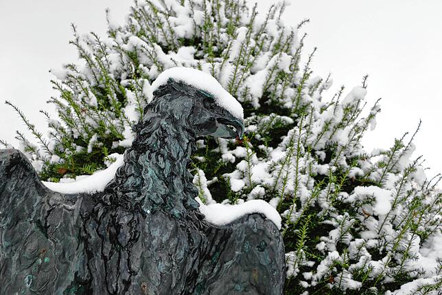 Bild 5: So schön grüßt der Winter aus Heiligenberg