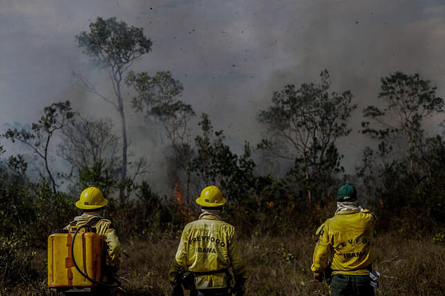 Waldbrände im Amazonas 26.08.2019, Brasilien, Manicoré: Mitarbeiter des IBAMA, der brasilianischen Umweltbehörde, stehen vor einem Brand in der Region Manicoré ...