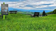 Vom Reiat-Weg, der Teil der Wanderstrecke ist, gibt es bei Opfertshofen einen besonders schönen Blick in den Hegau. Bilder: Gudrun Trautmann