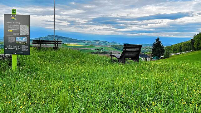Vom Reiat-Weg, der Teil der Wanderstrecke ist, gibt es bei Opfertshofen einen besonders schönen Blick in den Hegau. Bilder: Gudrun Trautmann