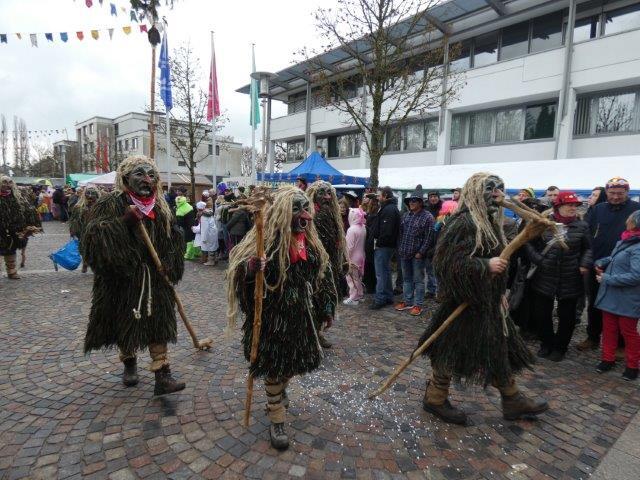Bild 21: Teil 1: Bildergalerie zum Albbrucker Narrentreffen am 2. und 3. Februar 2019