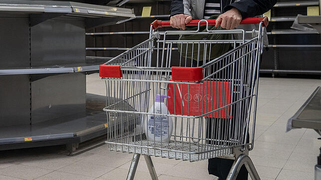 Eine Kundin in einem Supermarkt mit leeren Regalen &ndash; so sieht es in Konstanz natürlich nicht aus. Das Bild stammt aus Hongkong, wo ...
