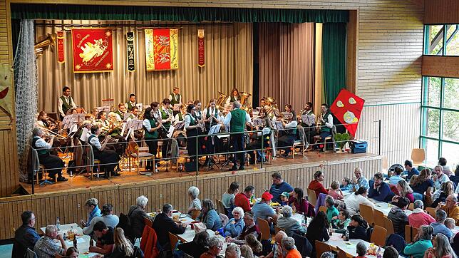 Flott gespielt: Der Musikverein „Alpenblick“ Willaringen e.V. wusste mit dem Medley Elvis the King zu gefallen.