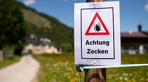 Wer so ein Schild beim Wandern sieht, sollte sich am Abend besonders gut nach Zecken absuchen.