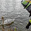 Tierrettung am Rhein am 4. Januar 2022: Ein ausgewachsener Schwan hatte eine Angelschnur um seinen Fuß gewickelt.