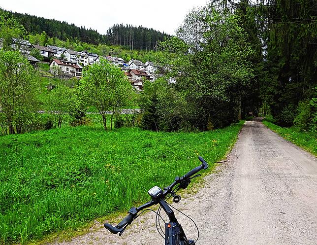 Der gut gepflegte Bregtalradweg hier vor Vöhrenbach ist gut zu fahren.