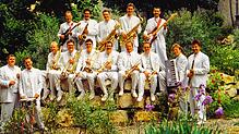 Sie waren vor 30 Jahren in der Region bekannt und beliebt. Sie nannten sich „Altheimer Musikanten“, aber auf Galaveranstaltungen traten ...