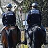 Zwei Beamte der berittenen Polizei, wie hier in Radolfzell, werden ab der kommenden Woche im Stadtgebiet von Waldshut patrouillieren.