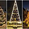 Hübsche Weihnachtsbäume am Hochrhein und im Südschwarzwald.