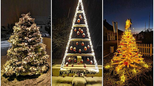 Hübsche Weihnachtsbäume am Hochrhein und im Südschwarzwald.