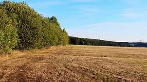 Eine große Fläche: Sonnenenergie und Landwirtschaft, im Gewann Ehle bei Mönchweiler soll beides gleichzeitig möglich sein. Bild: ...