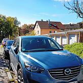 Hier auf dem Peter-Rosegger-Weg in Allmannsdorf hatte die kurze, aber intensive Tatserie begonnen.