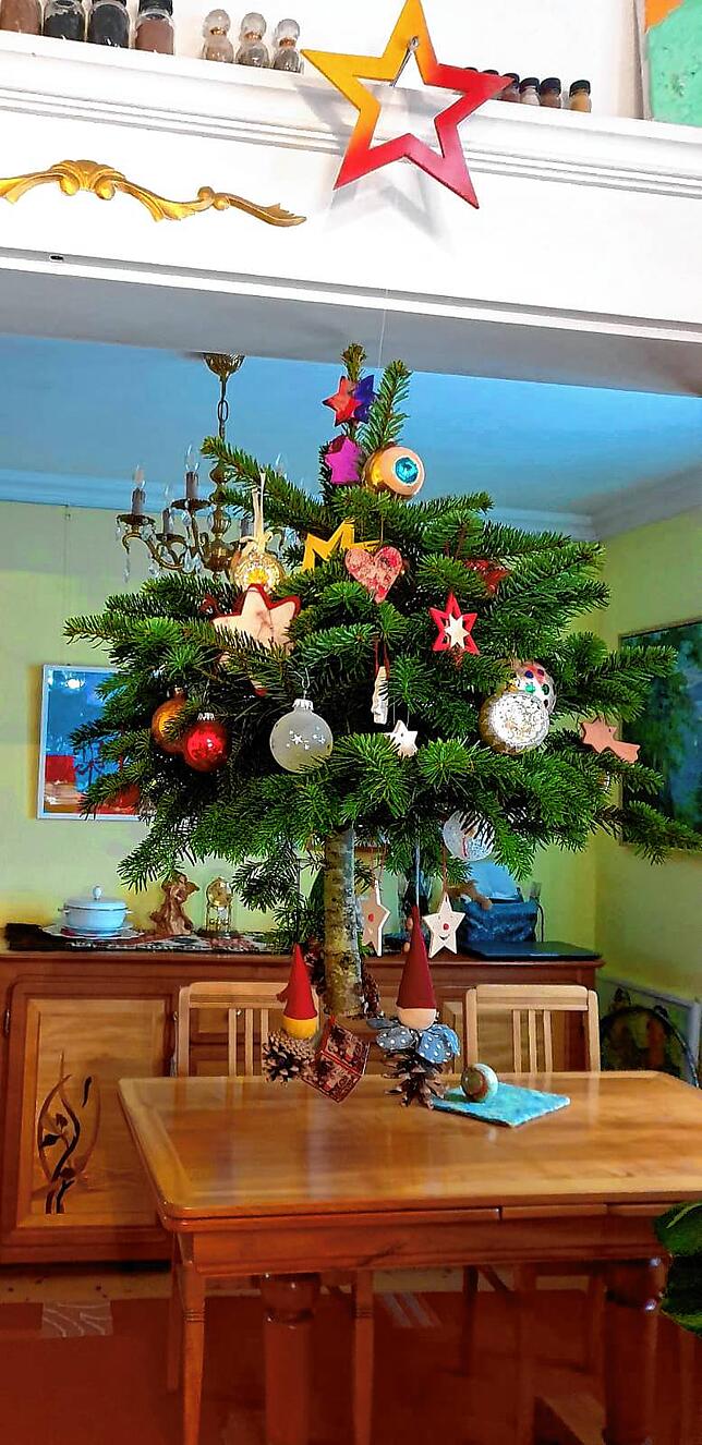 So sieht der diesjährige Weihnachtsbaum von Mathias Hoffmann in Erzingen aus.