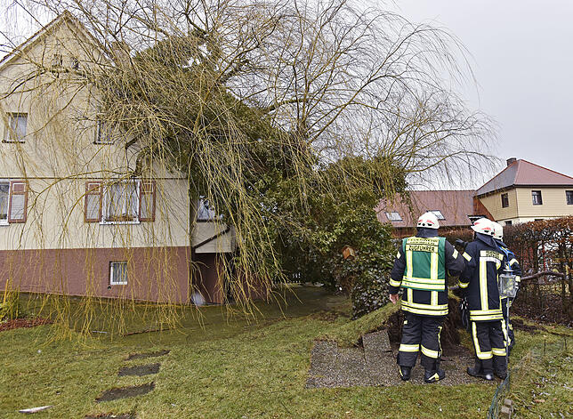 Bild 1: Den Baum am Haken: In Haus gekrachter Baum in der Donaueschinger Straße wird mit dem großem Kran entfernt
