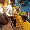 Bild :