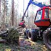 Der Vollernter ist derzeit im Meßkircher Wald im Einsatz, um Sturmholz zu beseitigen. Die Stürme Victoria und Sabine haben hier ...