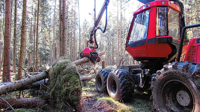 Der Vollernter ist derzeit im Meßkircher Wald im Einsatz, um Sturmholz zu beseitigen. Die Stürme Victoria und Sabine haben hier ...