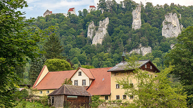 Die Hofstelle St. Maurus  unterhalb der Burg Wildenstein  ist eine der versteckten Perlen im Oberen Donautal. Das Anwesen gehört dem ...