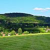Auf dem Hoheneck oberhalb Hottingens soll das Bürgerwindrad der Gemeinde Rickenbach errichtet werden.