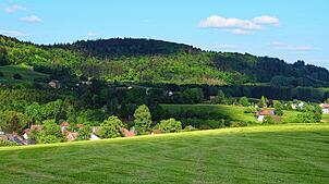 Auf dem Hoheneck oberhalb Hottingens soll das Bürgerwindrad der Gemeinde Rickenbach errichtet werden.