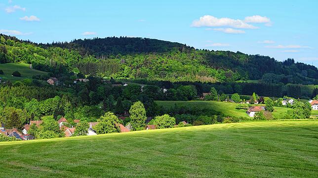 Auf dem Hoheneck oberhalb Hottingens soll das Bürgerwindrad der Gemeinde Rickenbach errichtet werden.