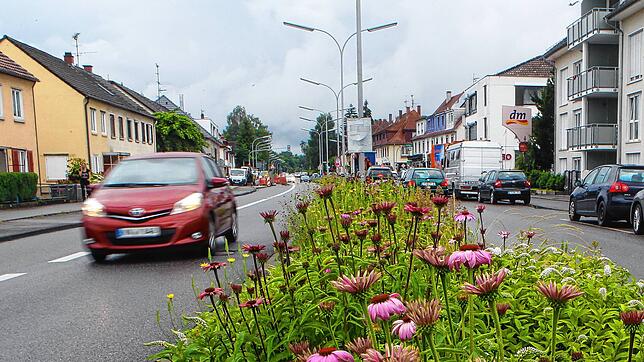 (Symbolbild) Auf der Wollmatinger Straße in Konstanz halten die Streifenpolizisten den Autofahrer an, weil er in Schlangenlinien über ...
