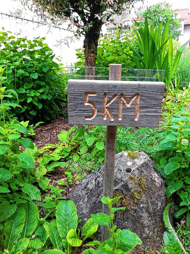 Die neue Laufstrecke im Gehau-Wald ist 5 Kilometer lang.