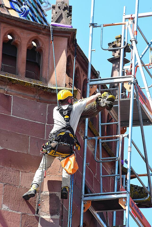 Am Nordturm des Münster sind einige Schäden entdeckt worden, vor allem die Wasserspeier müssen mit Fangnetzen gesichert werden.