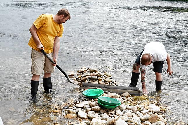 An der Waschrinne ist Teamarbeit gefragt: Einer schaufelt, der andere befreit die Rinne von groben Steinen. Das fließende Rheinwasser ...