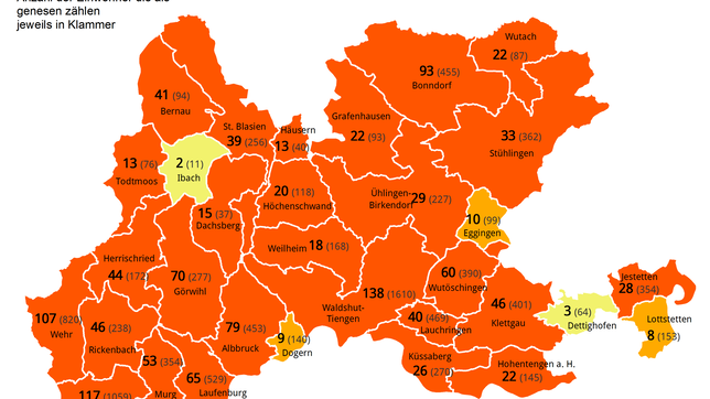 Am Montag, 29. November, gibt es im Landkreis Waldshut 1331 aktive Corona-Fälle in allen 32 Gemeinden &ndash; die meisten in ...