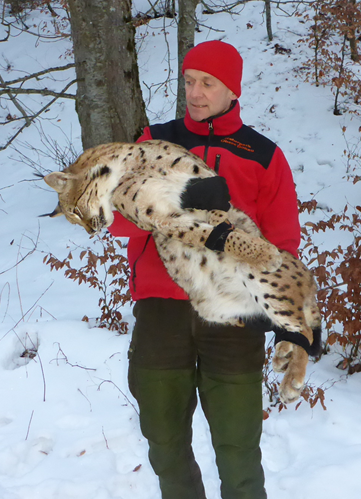 Armin Hafner bei der 1. Besenderung von Luchs Lias im Jahr 2019.