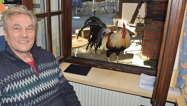 Seniorchef Anton Bihler und Gockel Johann sind froh, dass auch andere Erna ins Herz geschlossen haben. Johann musste lange auf Erna ...